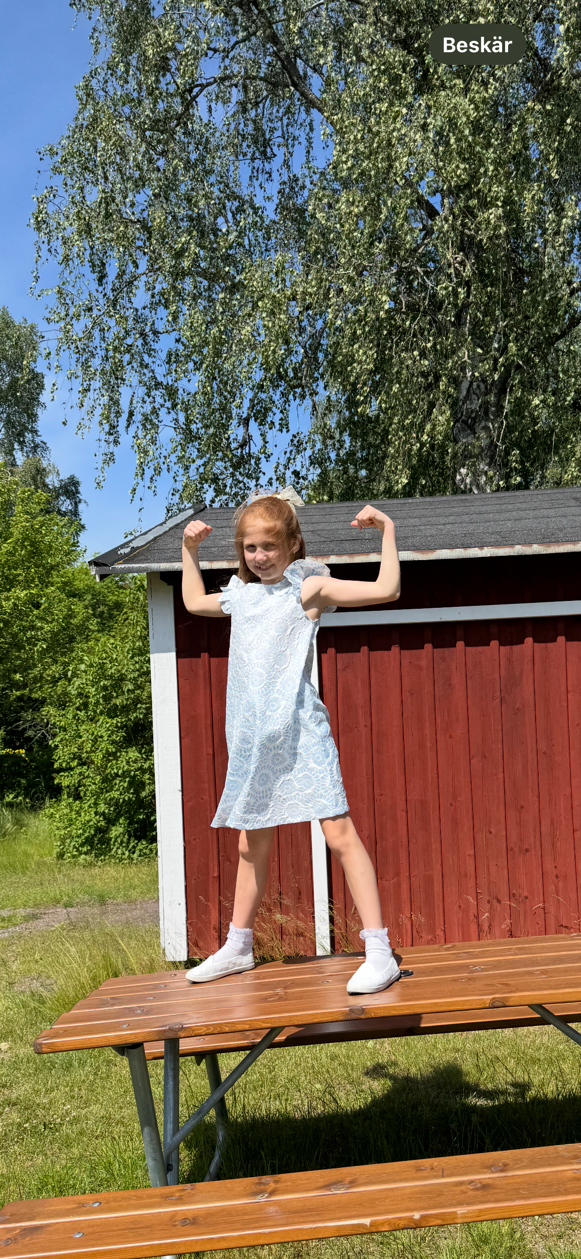bild 2}