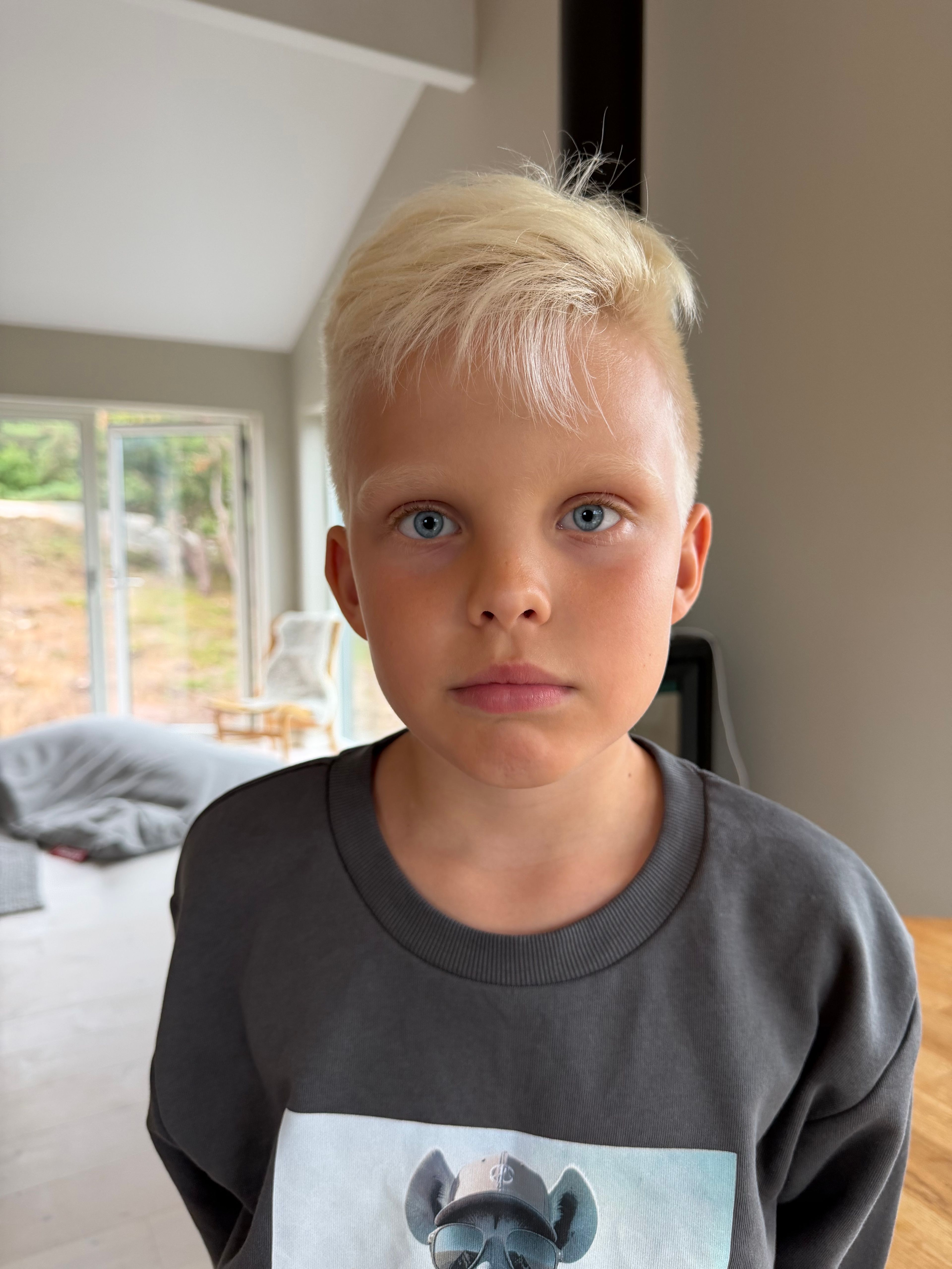 bild 0}