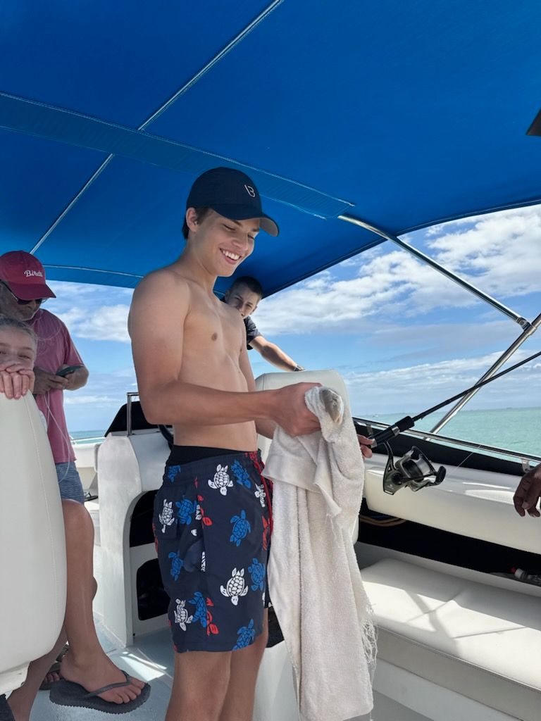 bild 0}
