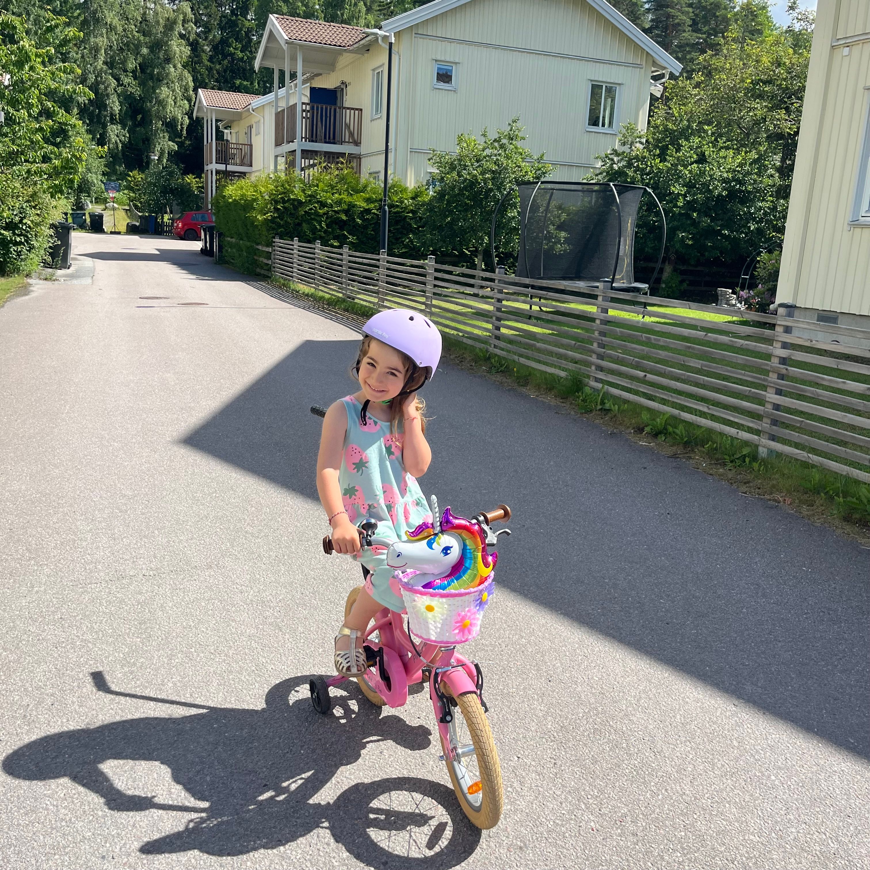 bild 4}