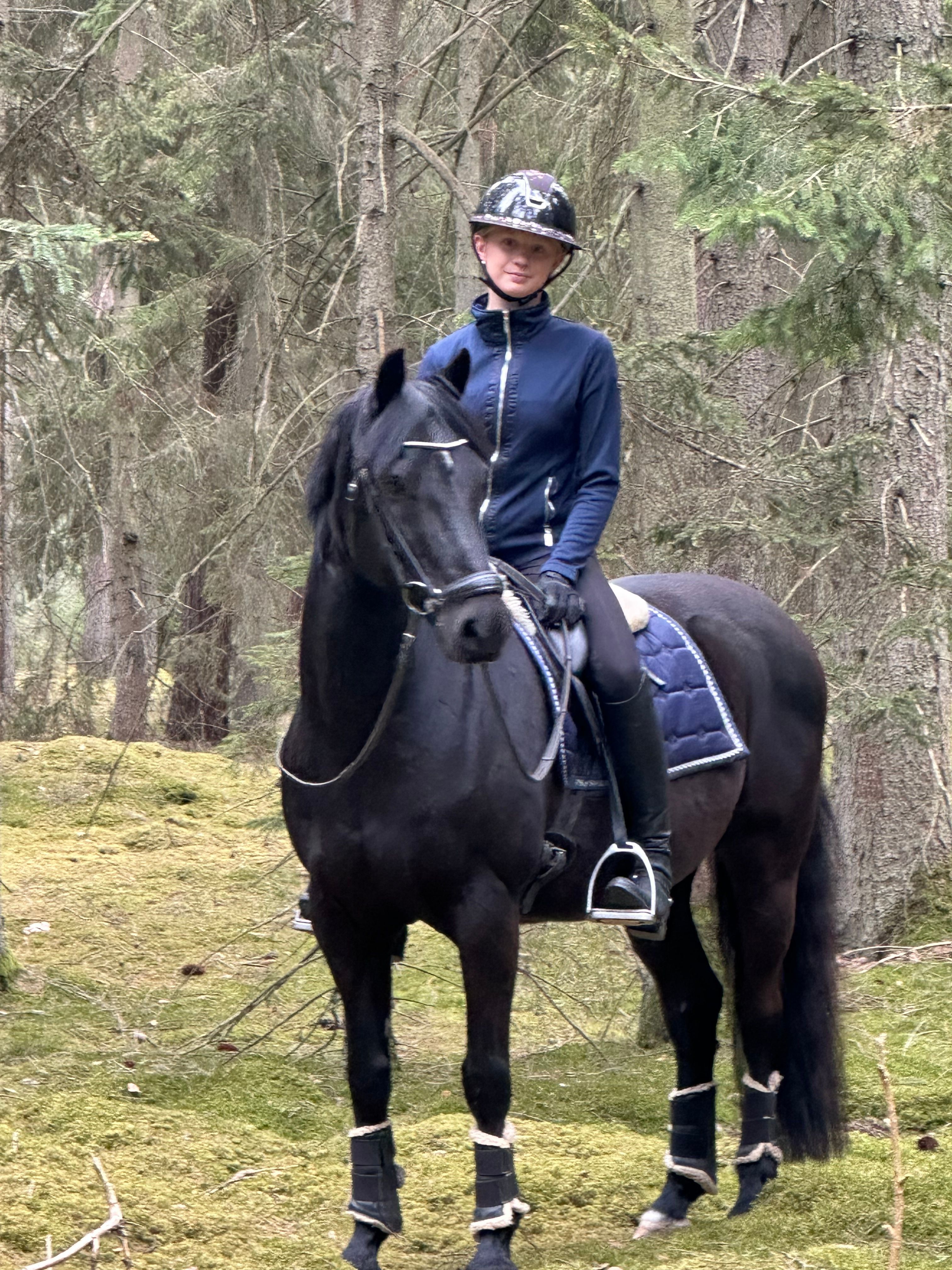 bild 3}