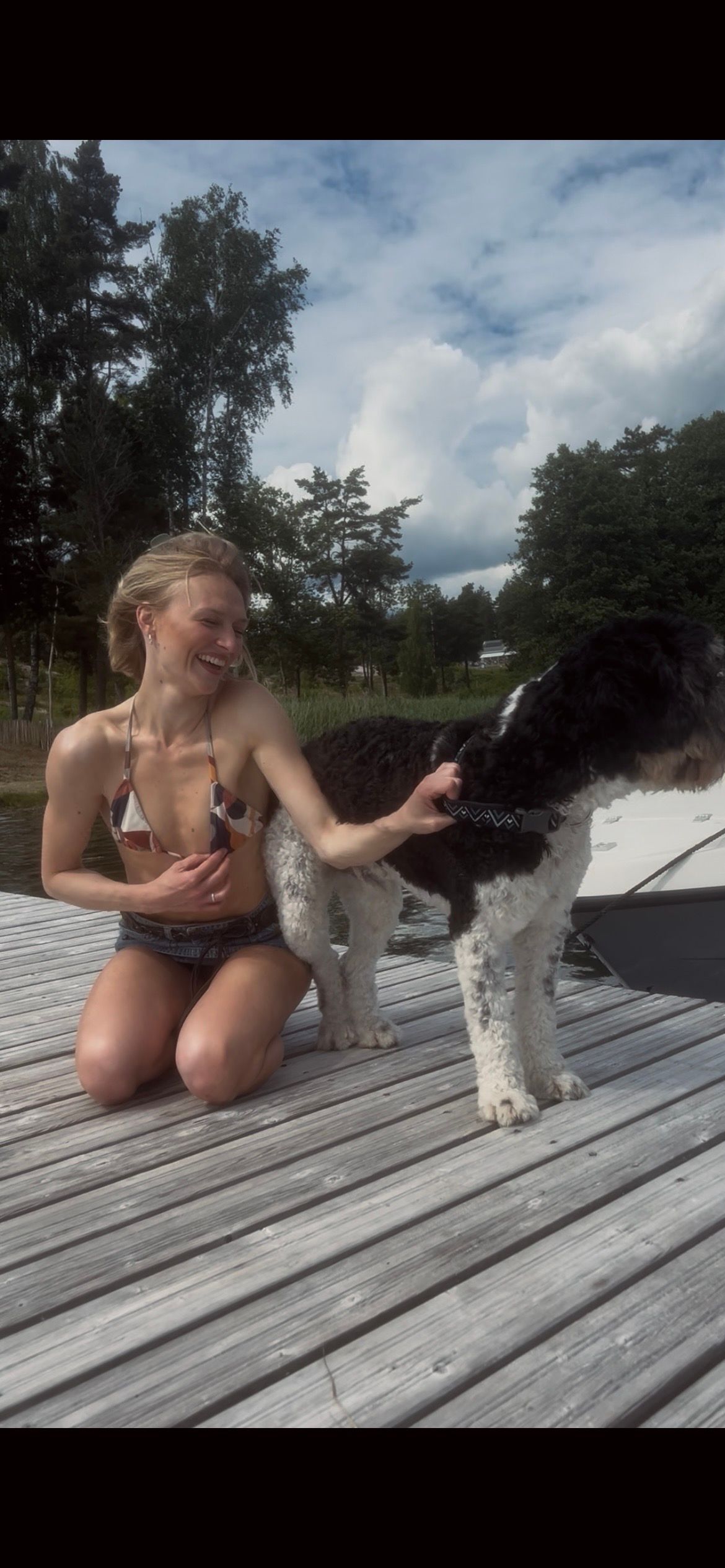 bild 4}