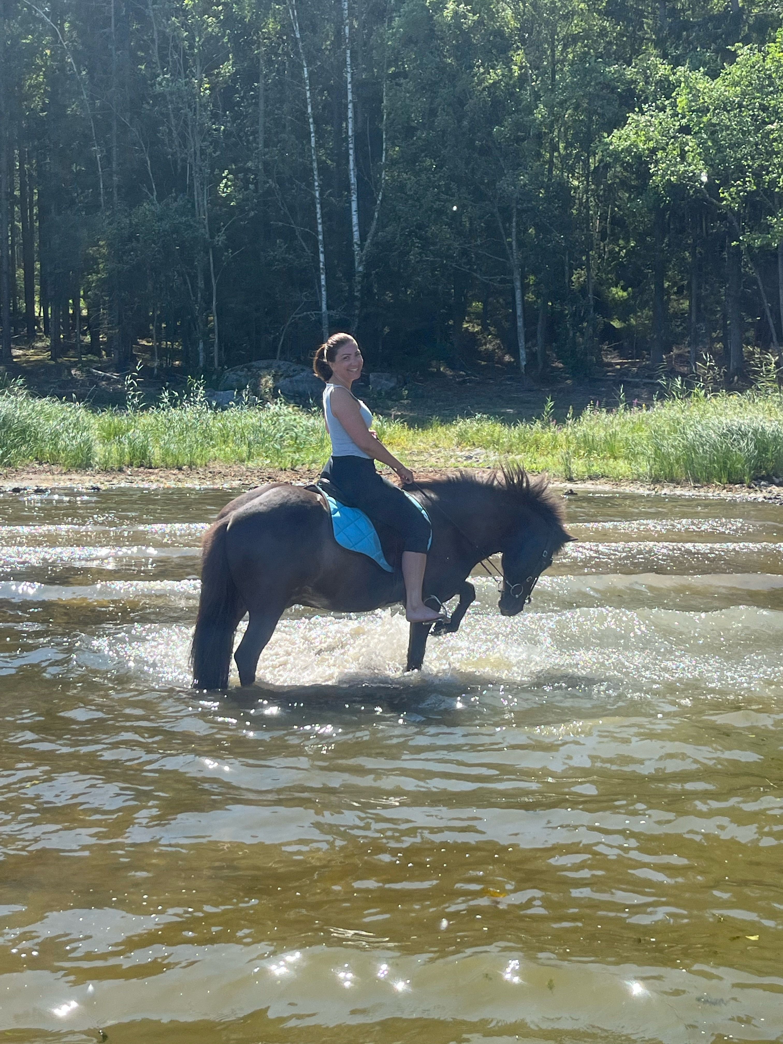 bild 2}
