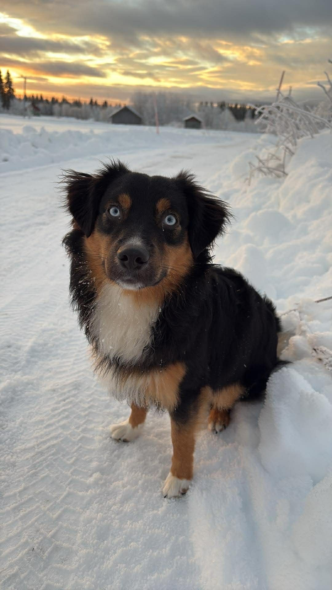 bild 4}