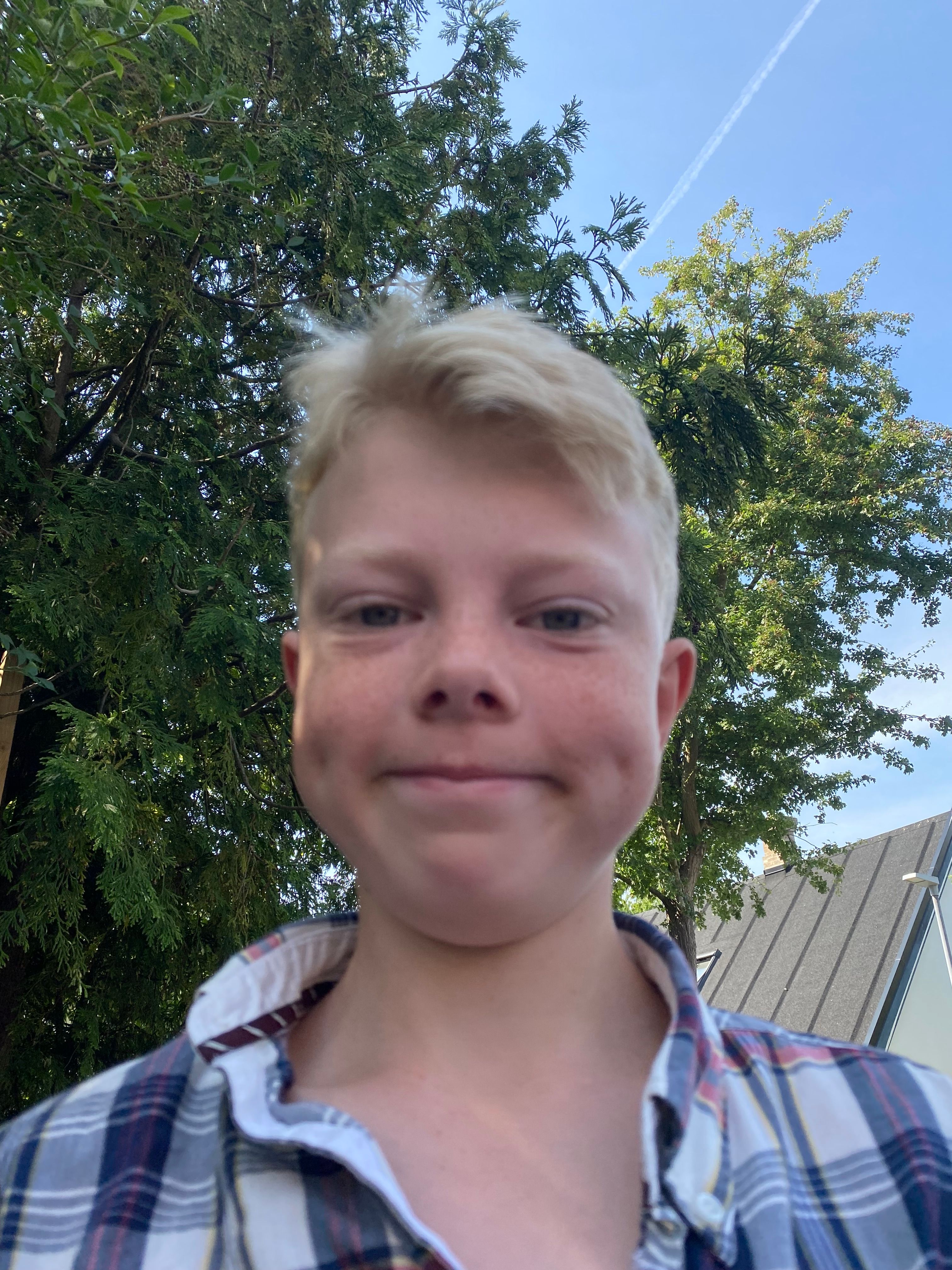 bild 0}