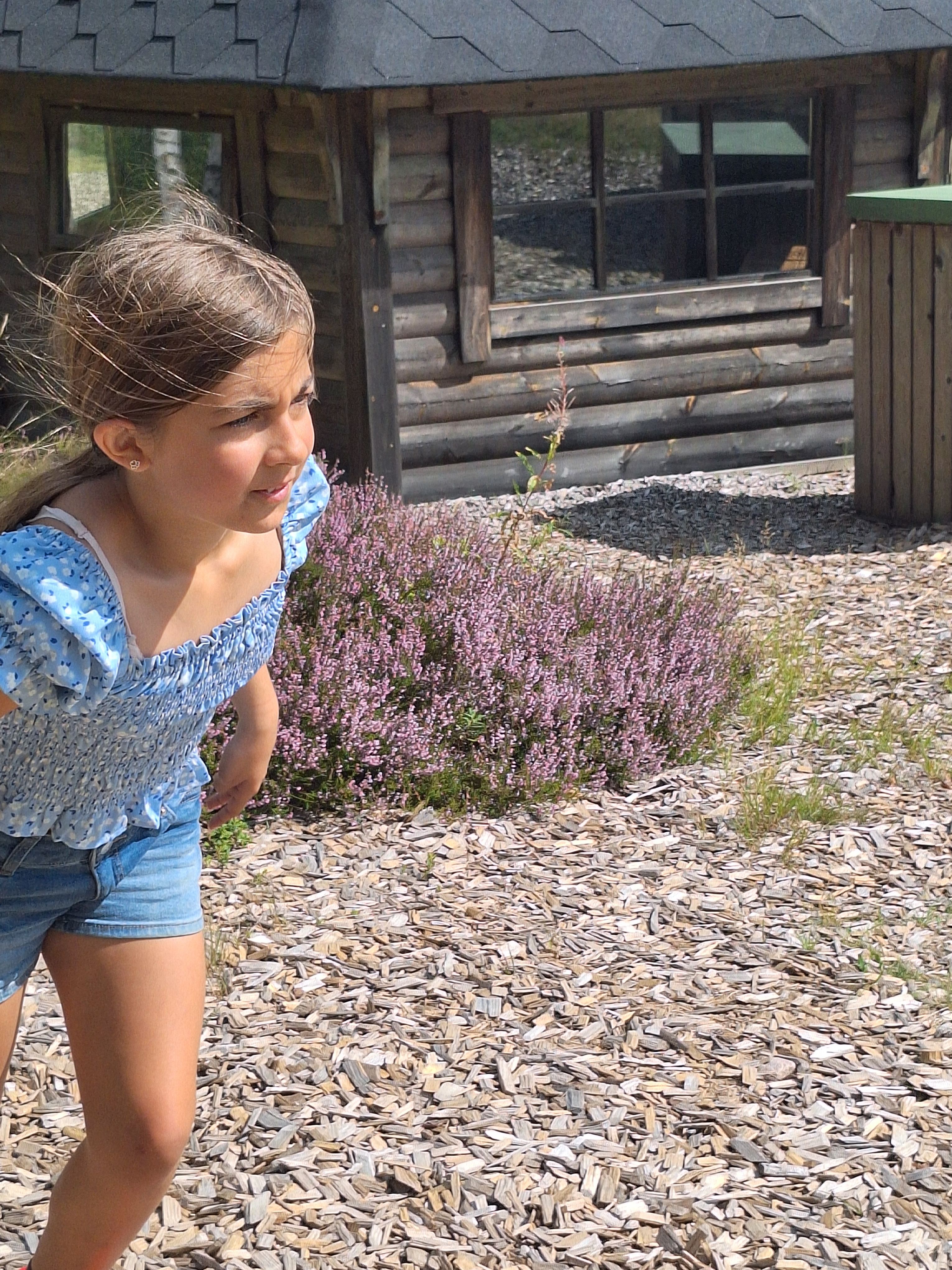 bild 1}
