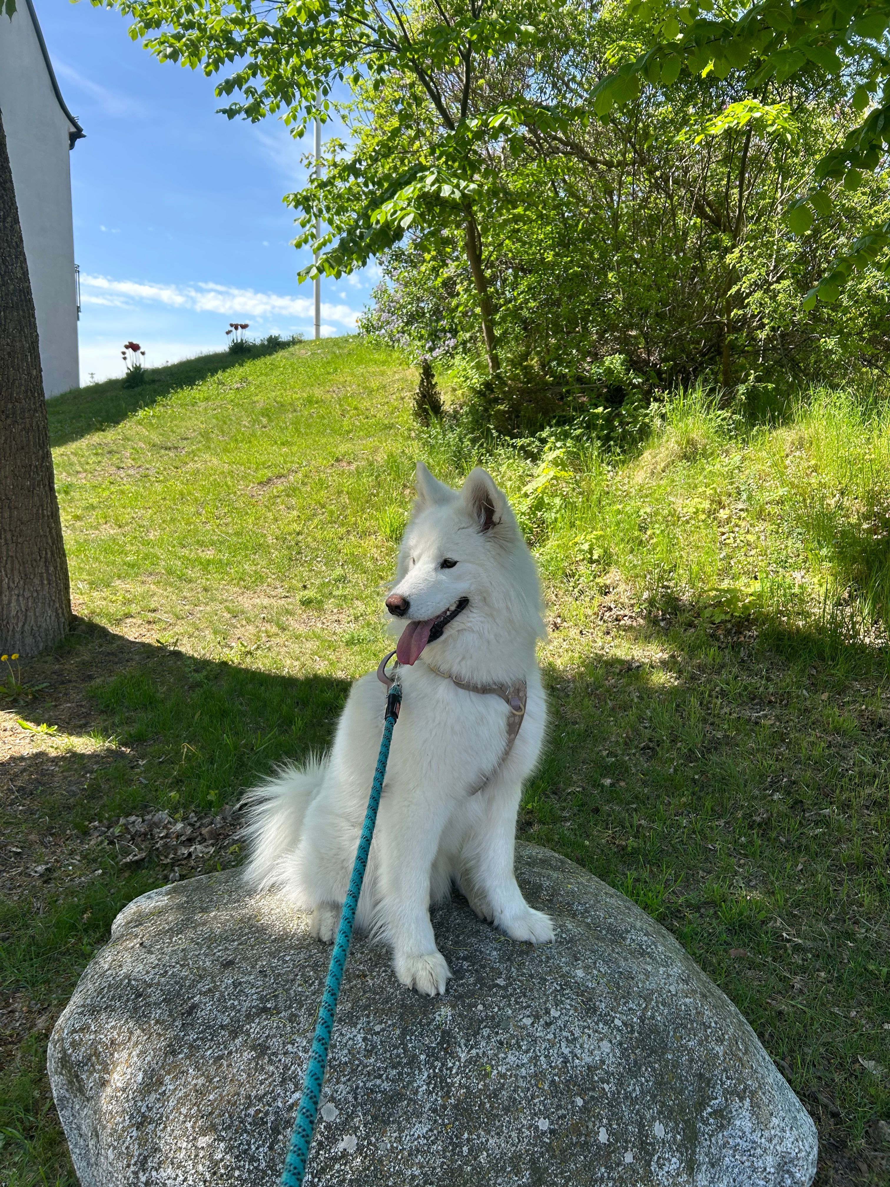 bild 3}