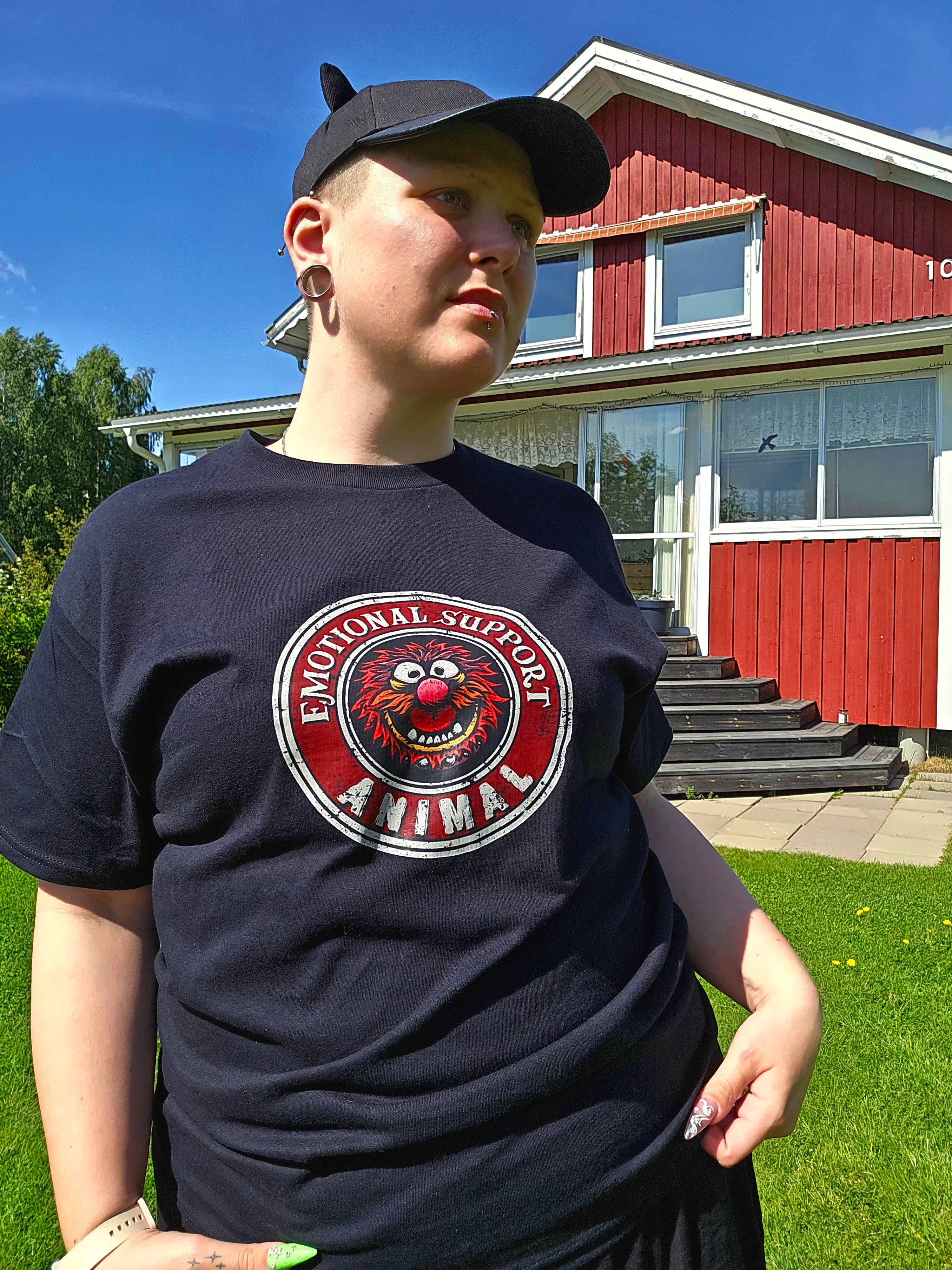 bild 1}