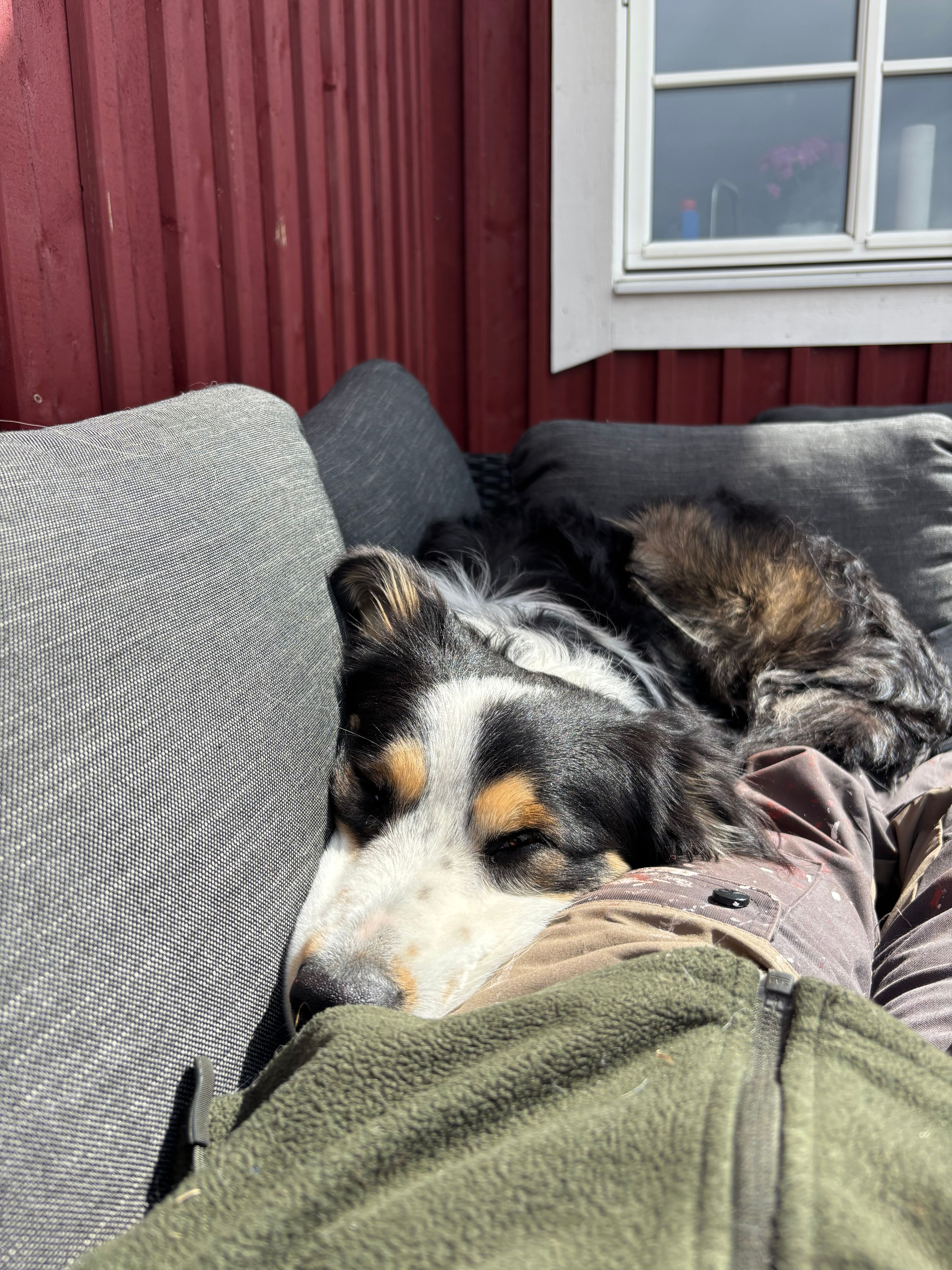 bild 2}