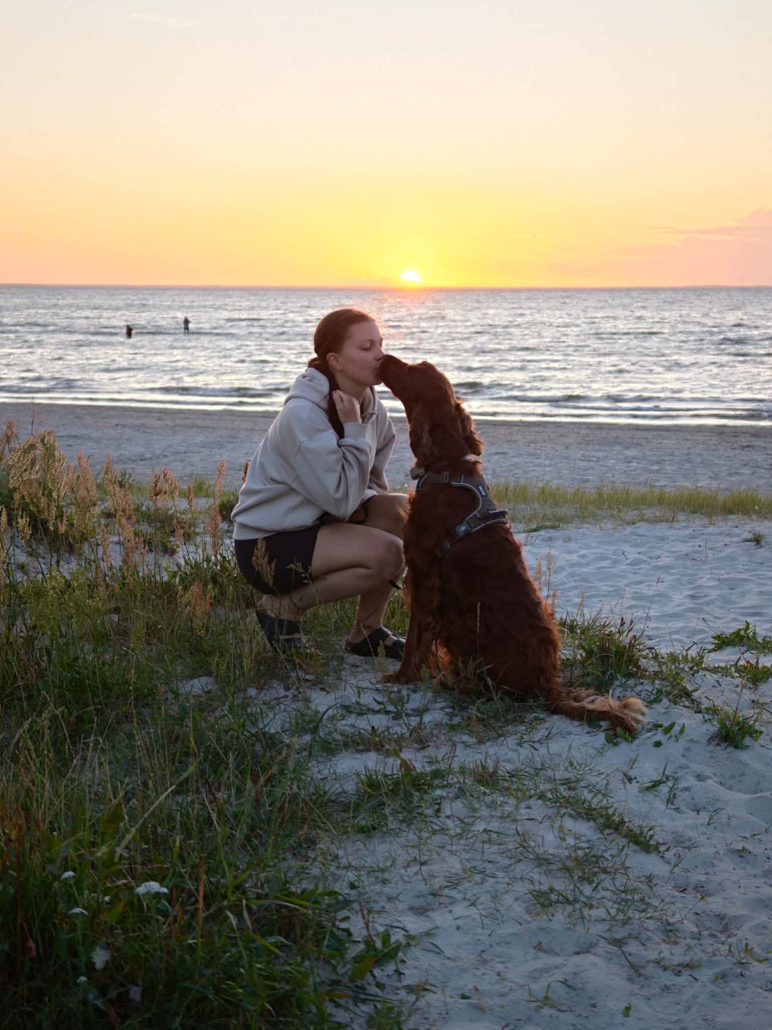 bild 3}