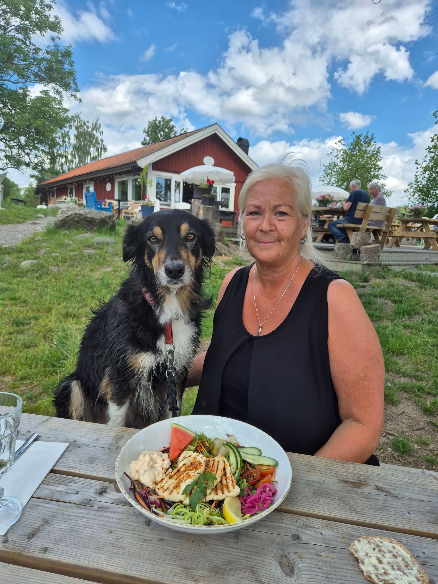 bild 0}