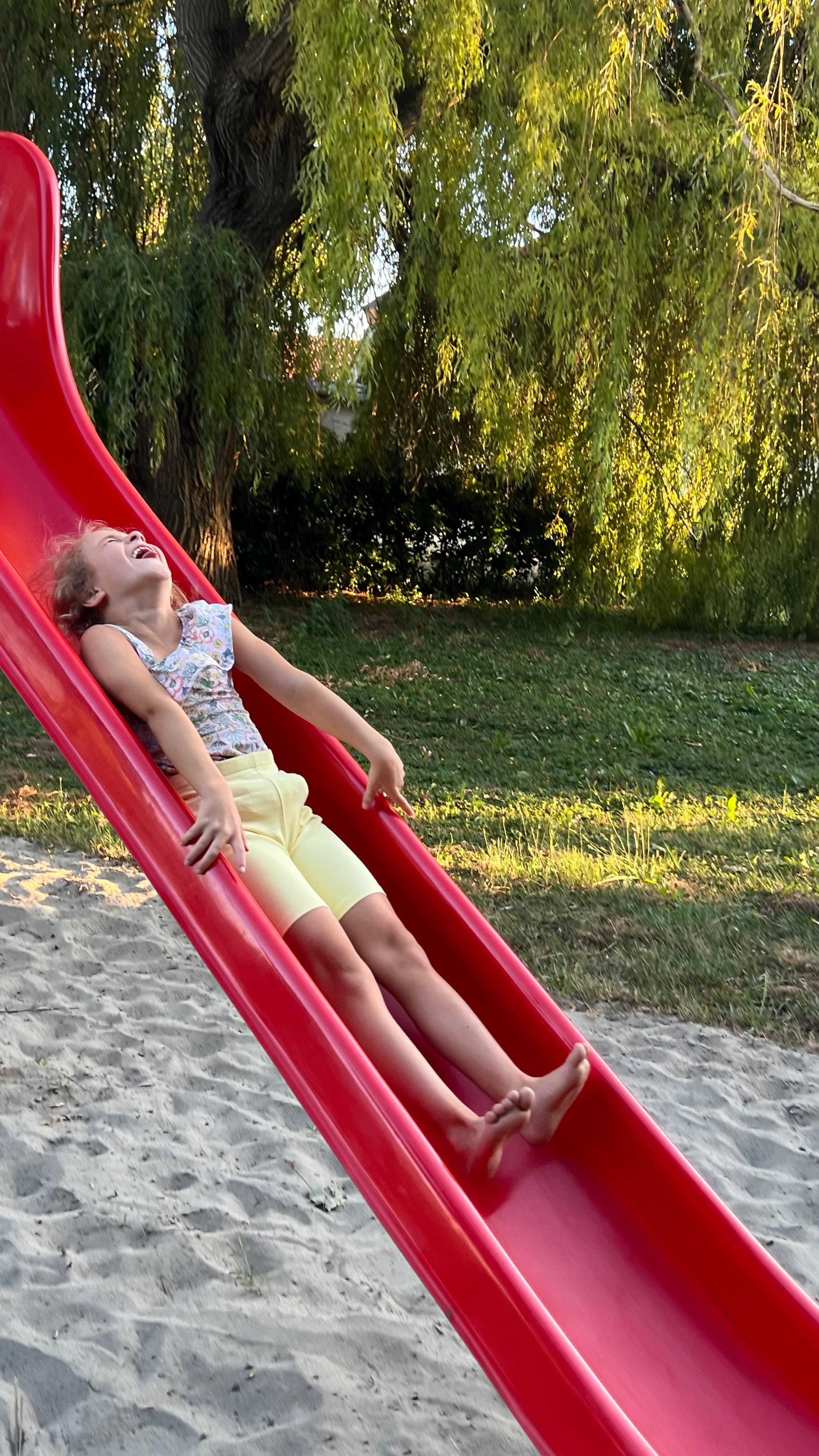 bild 2}