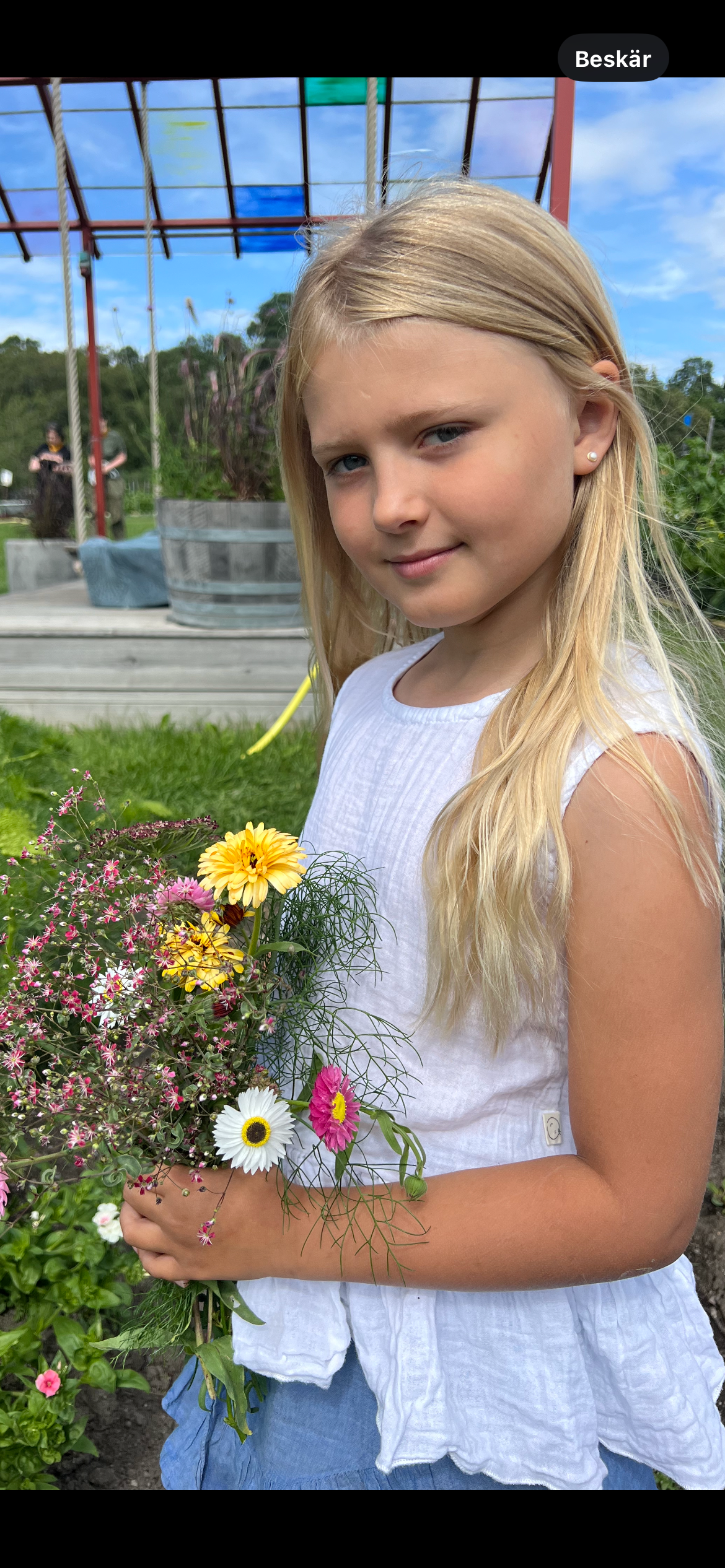 bild 2}
