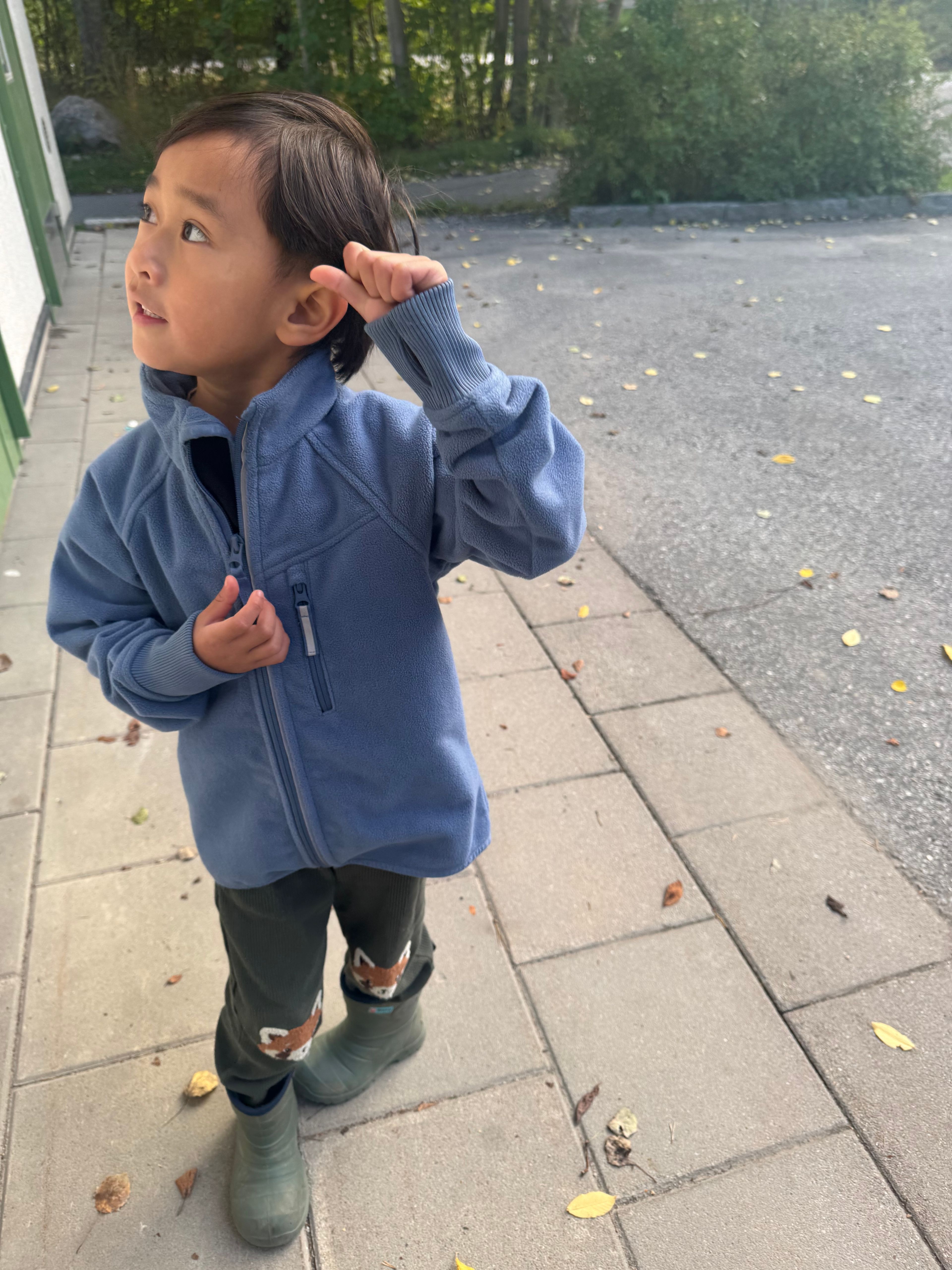 bild 0}