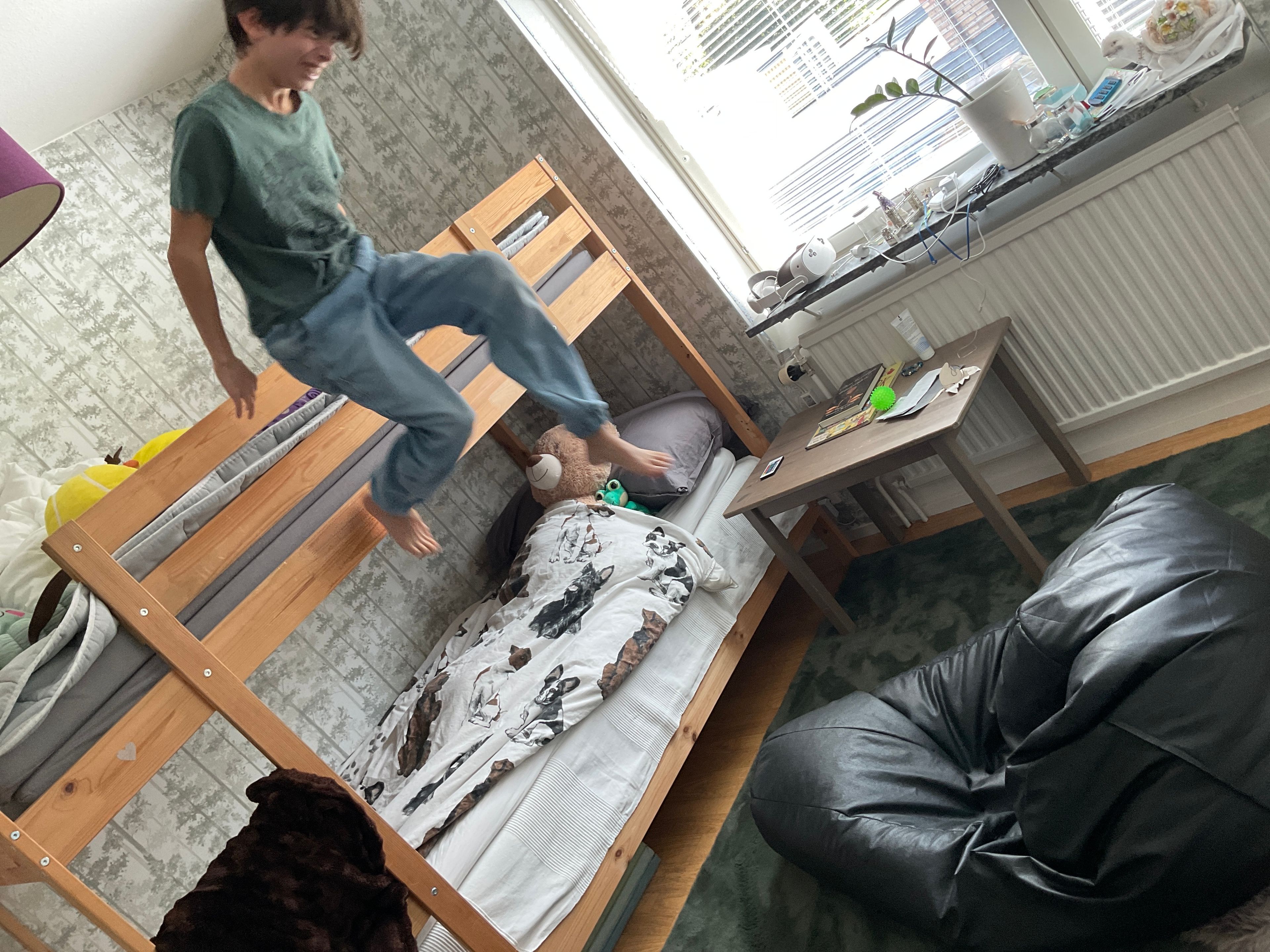 bild 2}
