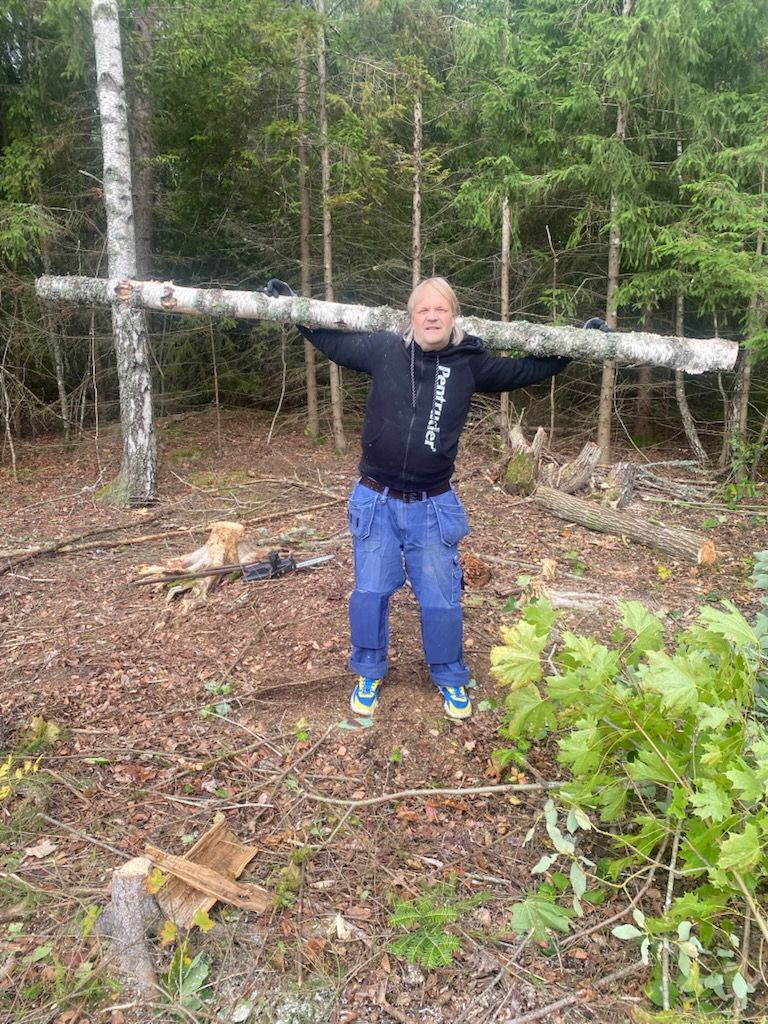 bild 0}