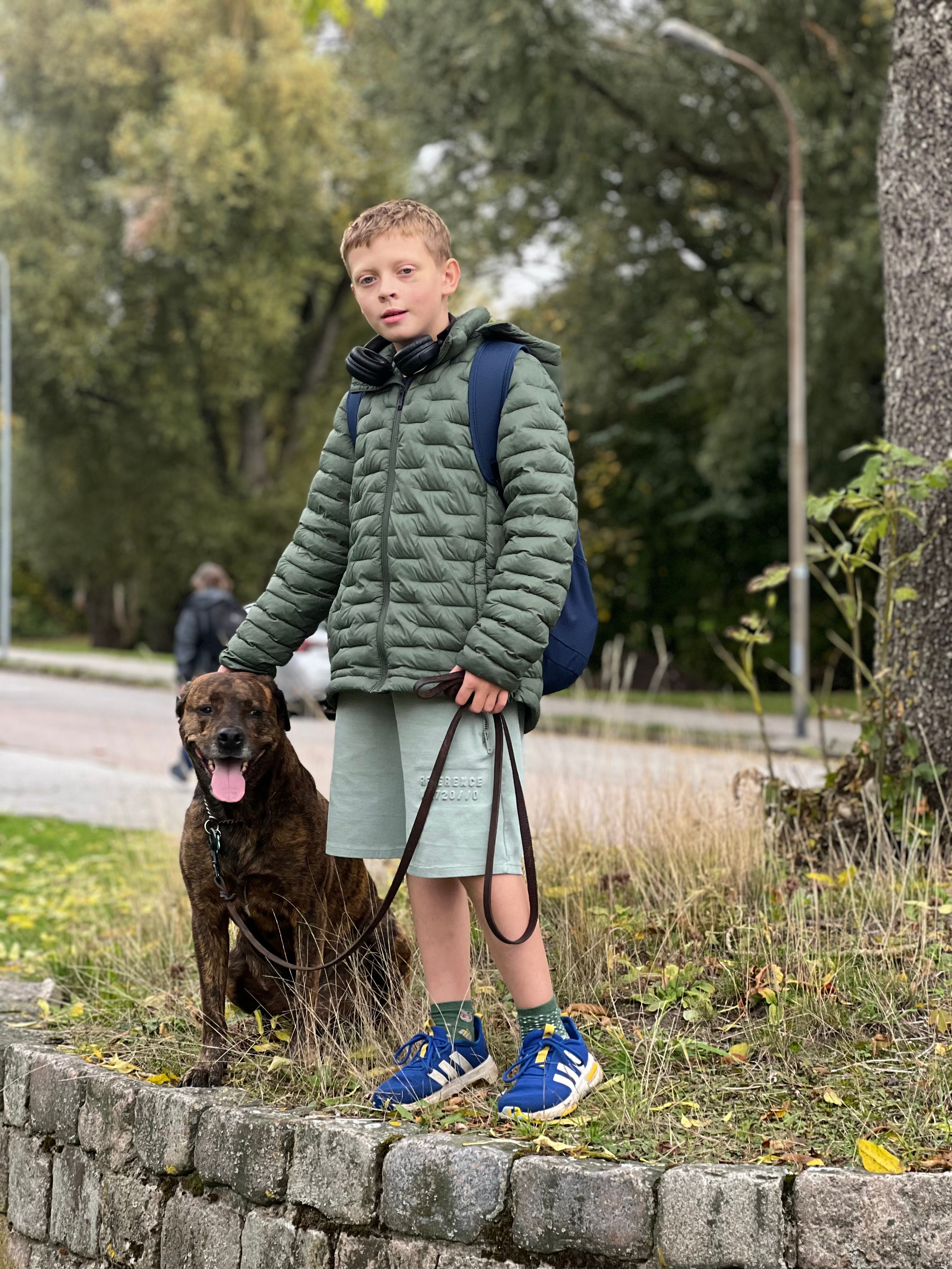 bild 2}