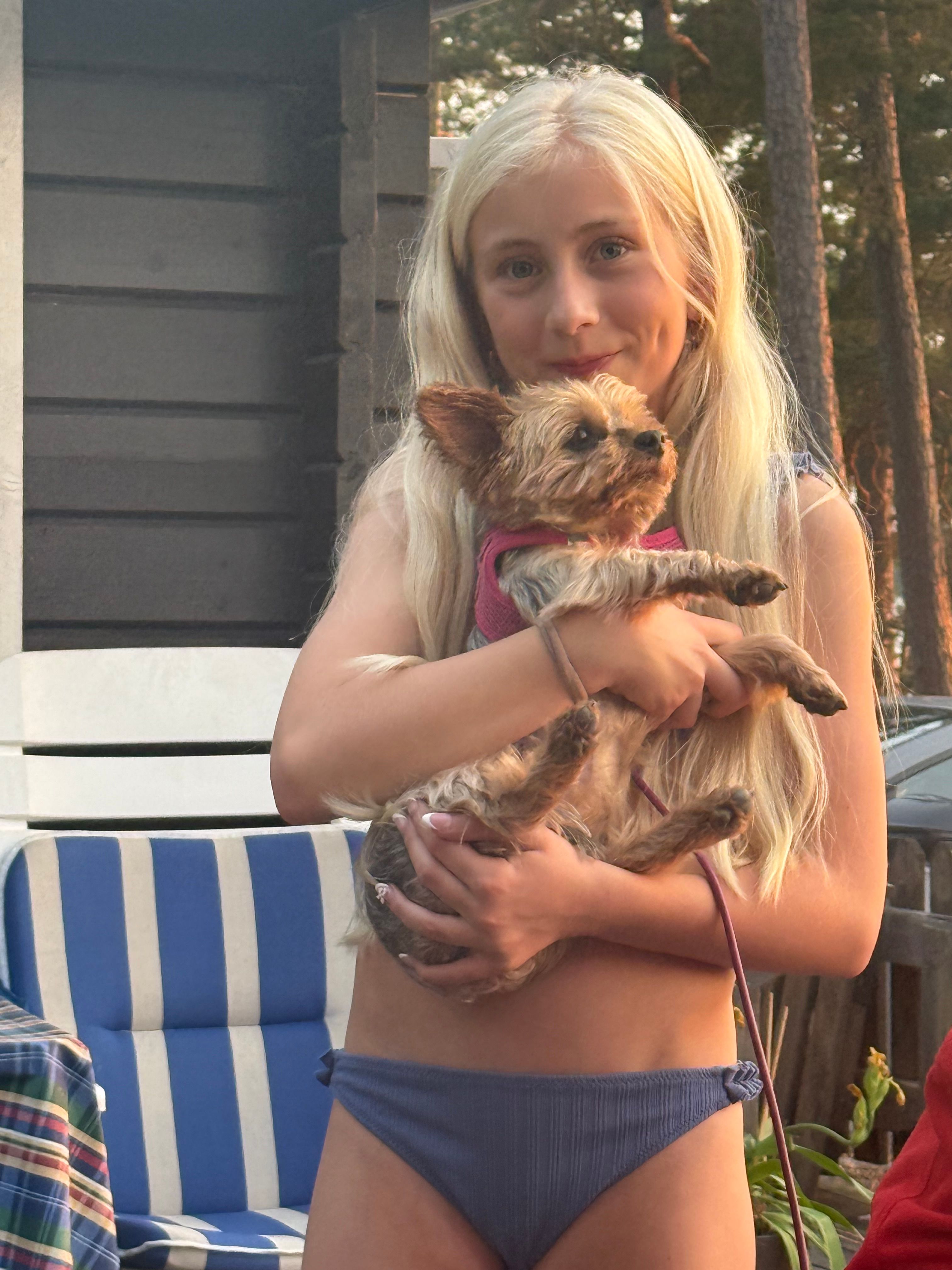 bild 1}