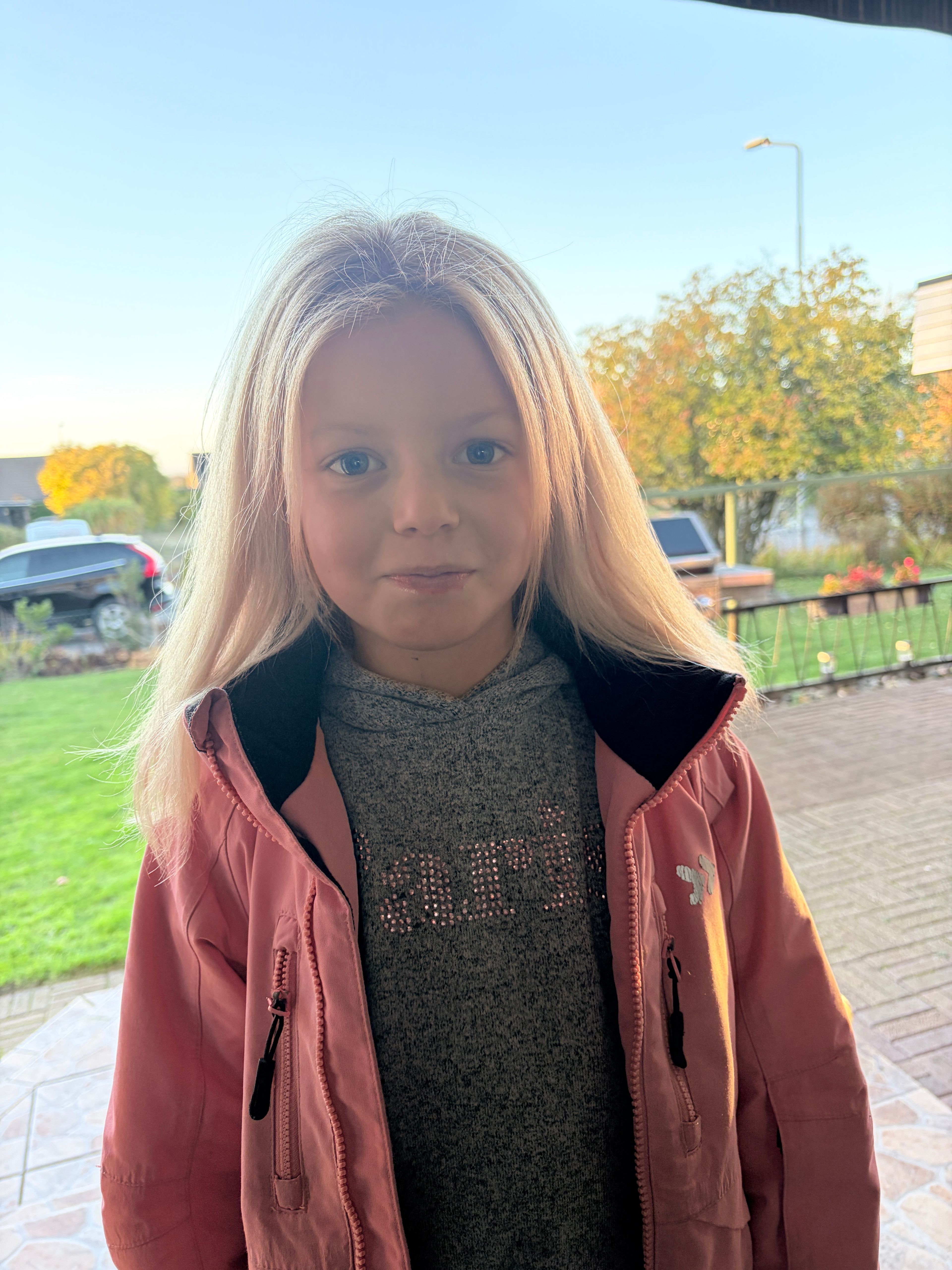 bild 1}