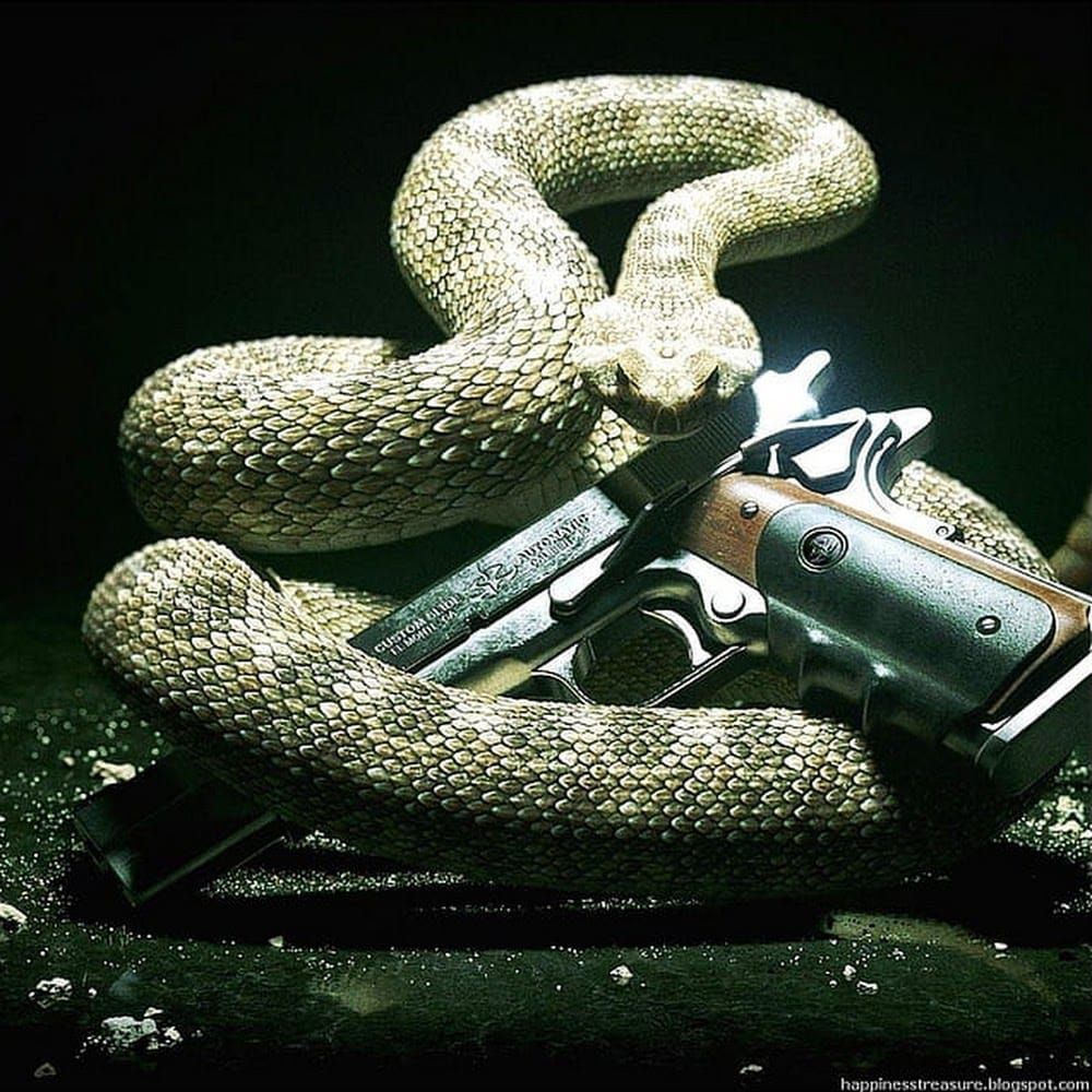 Profilbild för Misak Isak