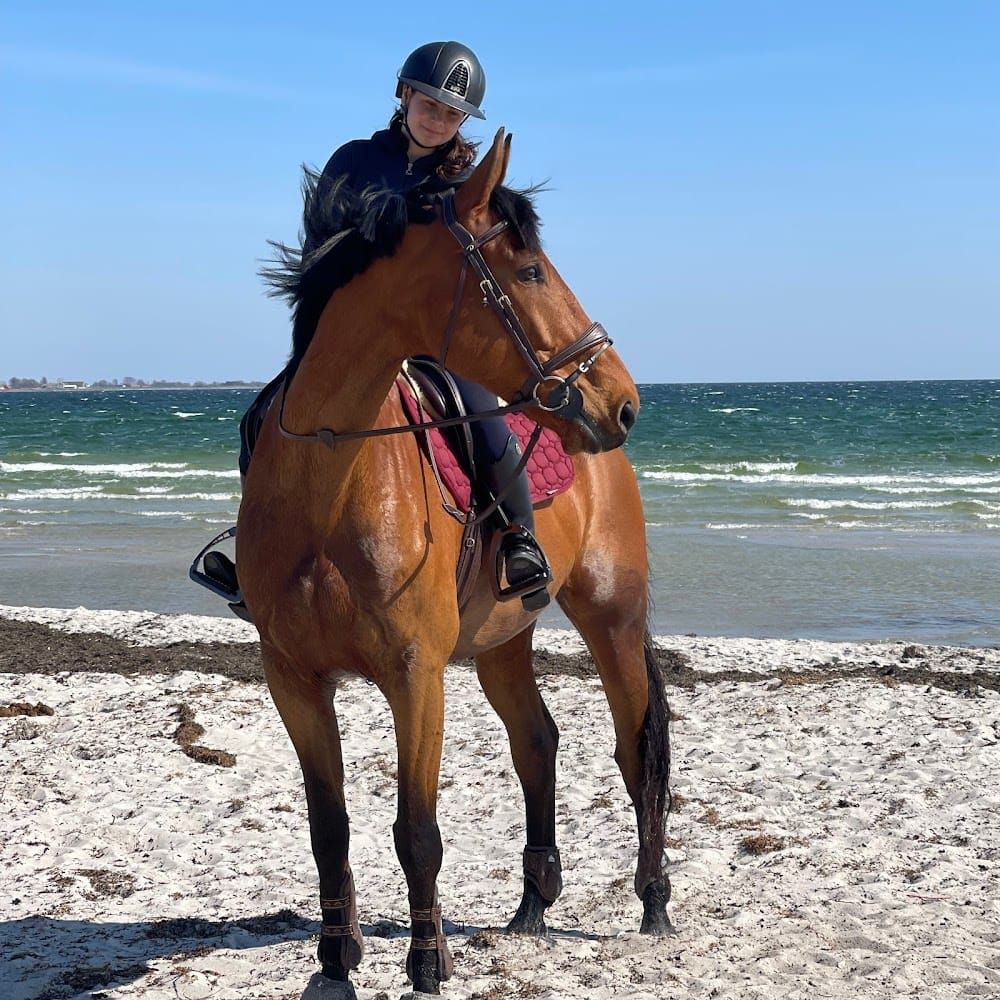 Profilbild för Naomy Ilie