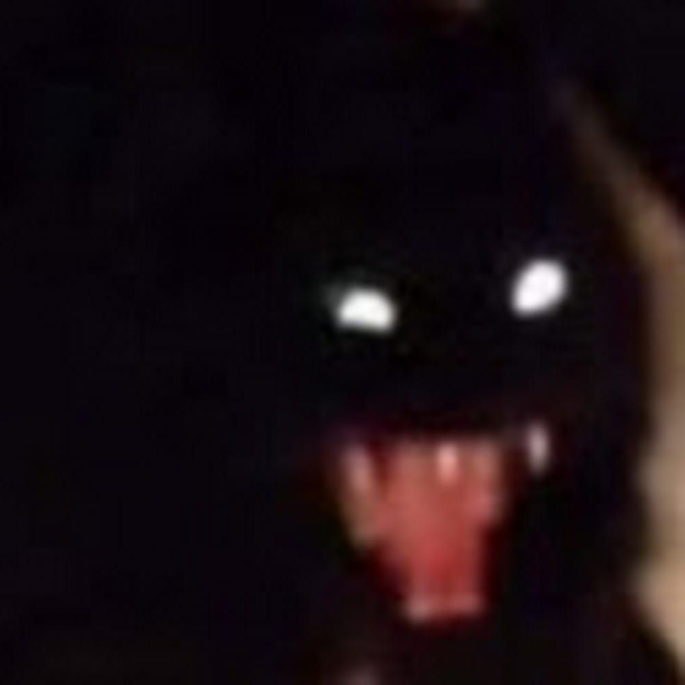 Profilbild för Cecilia Hansen