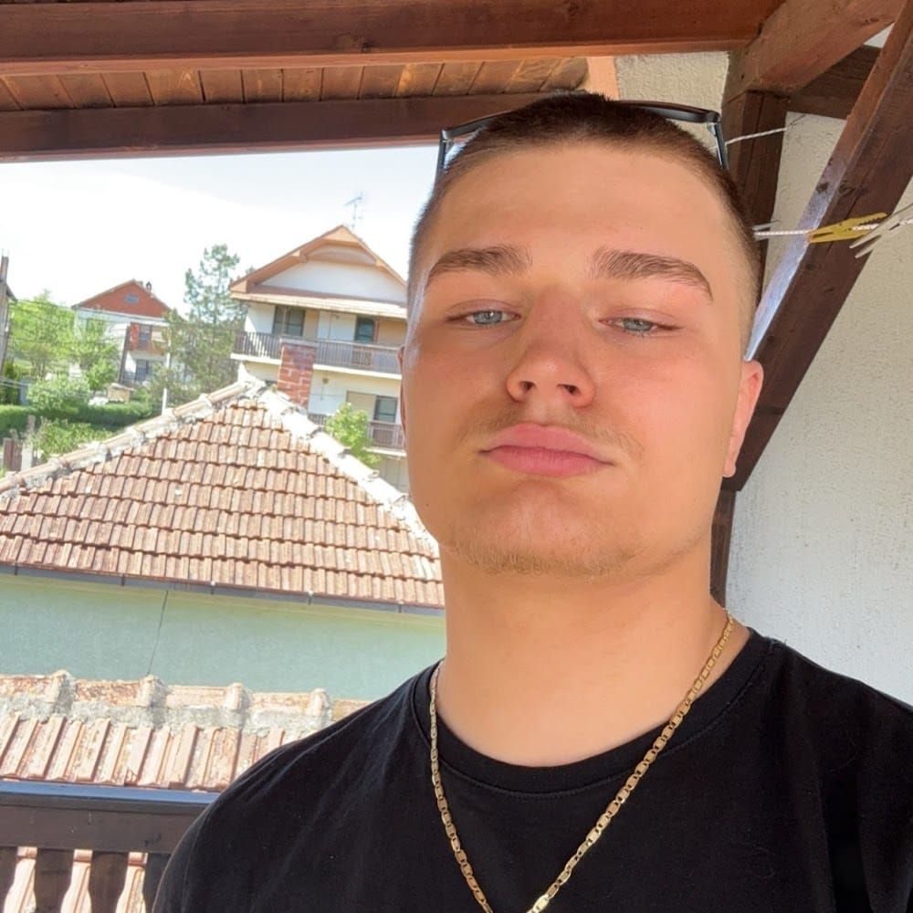 Profilbild för Luka Milovanovic