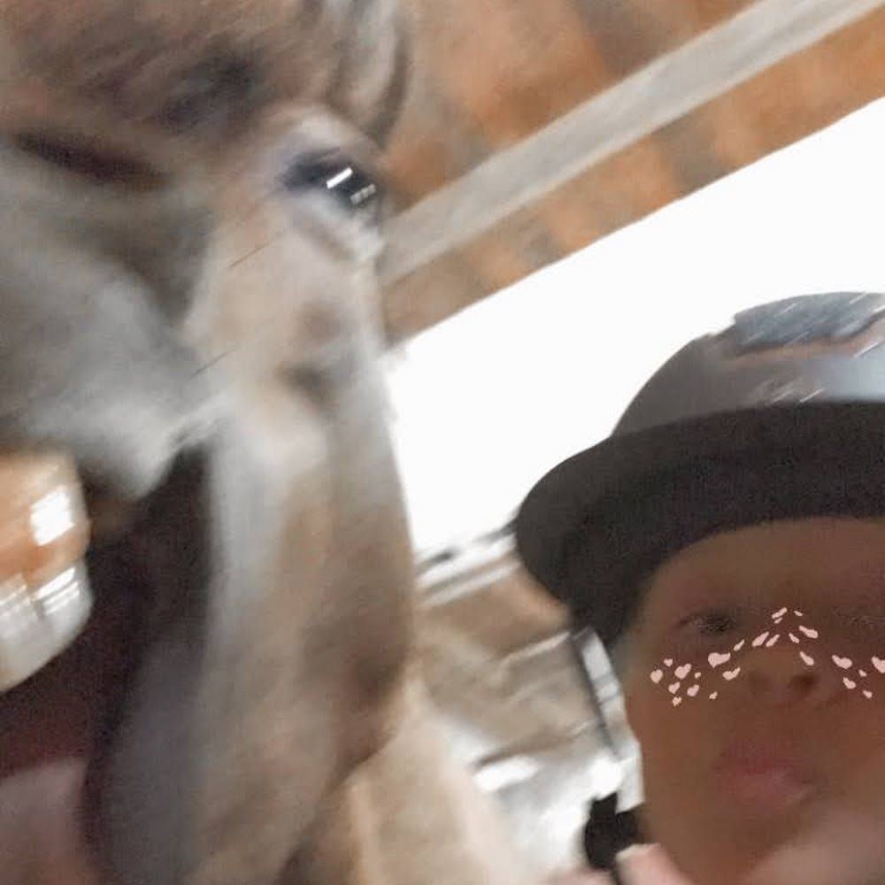 Profilbild för Meja Hallberg