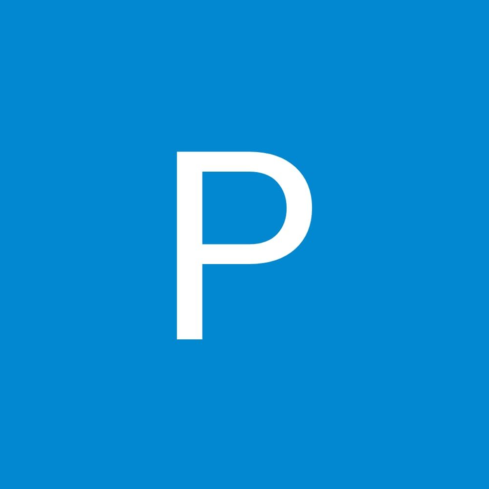 Profilbild för Padina Simkani