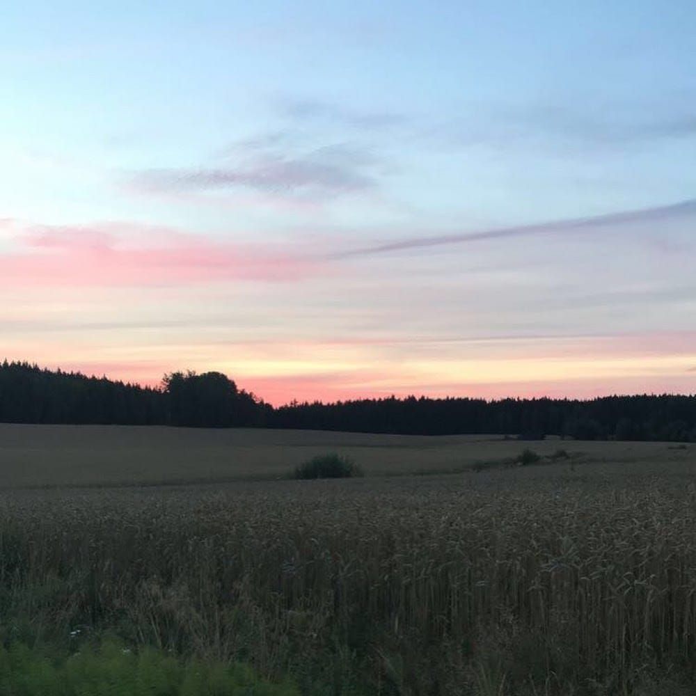 Profilbild för Saga Wallén