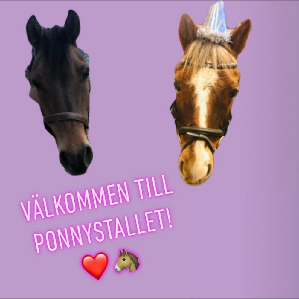 Profilbild för Alva Persson