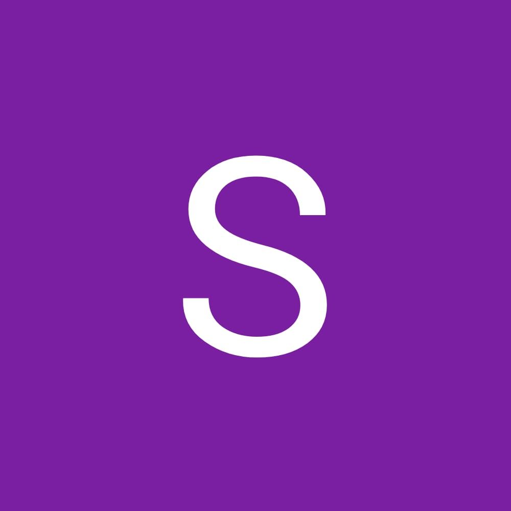 Profilbild för Saga Vilen