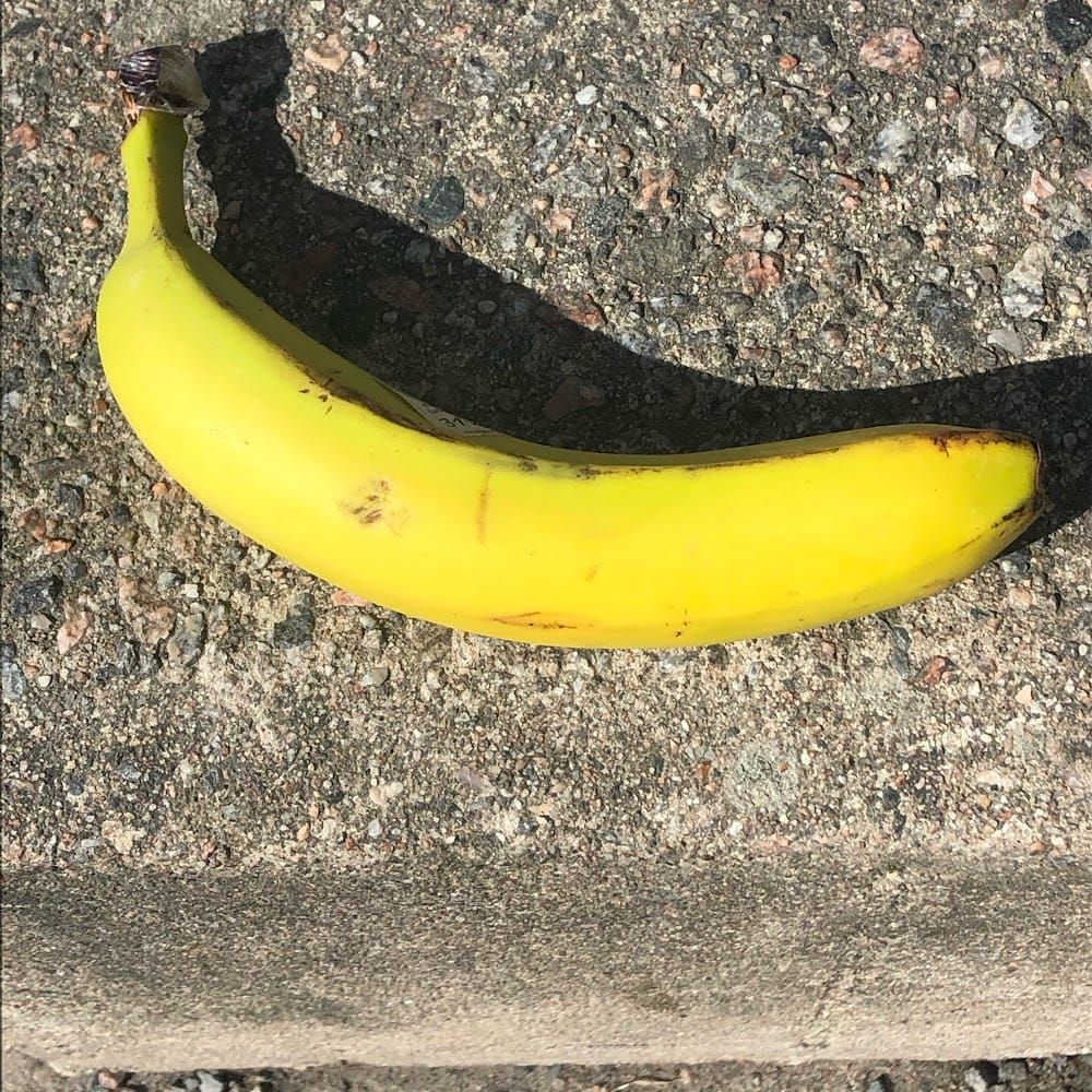 Profilbild för Gustaf Lind