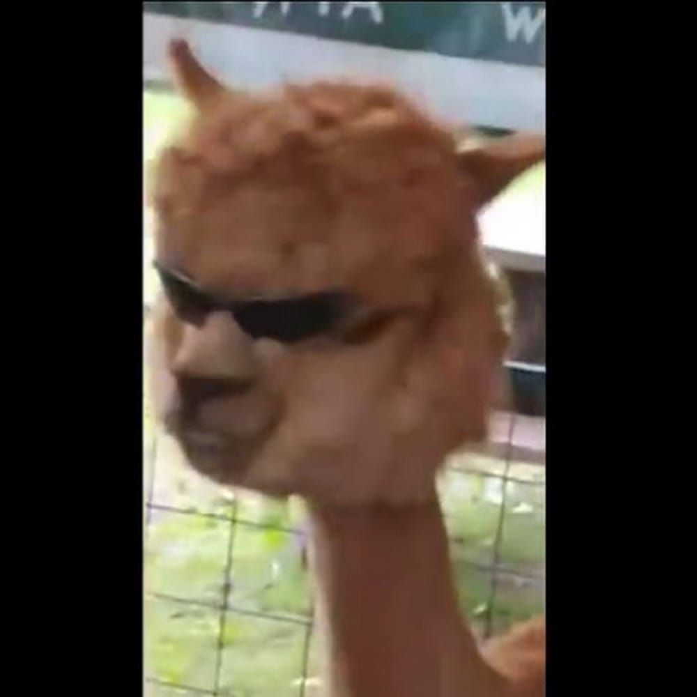 Profilbild för Samuel Sandin