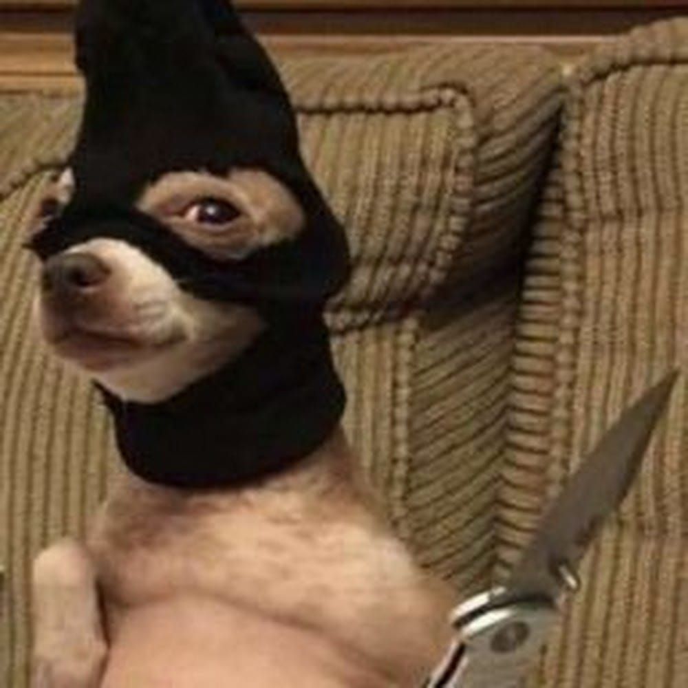 Profilbild för Malak Hadzaoui