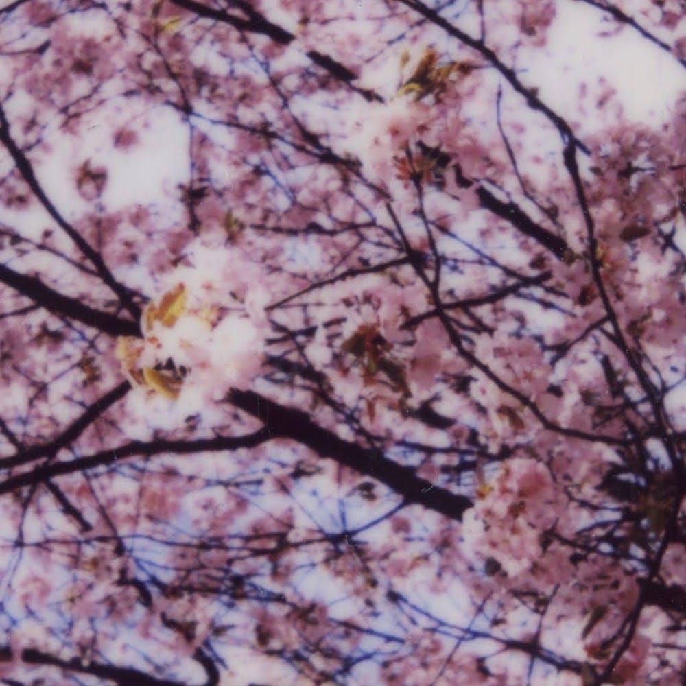 Profilbild för Emely Gunnarsson