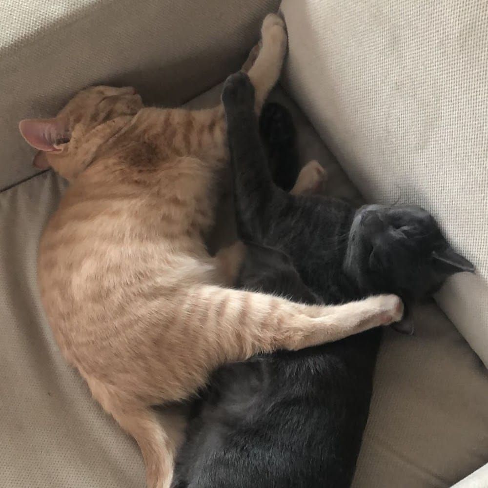 Profilbild för Jack Engelbrektsson