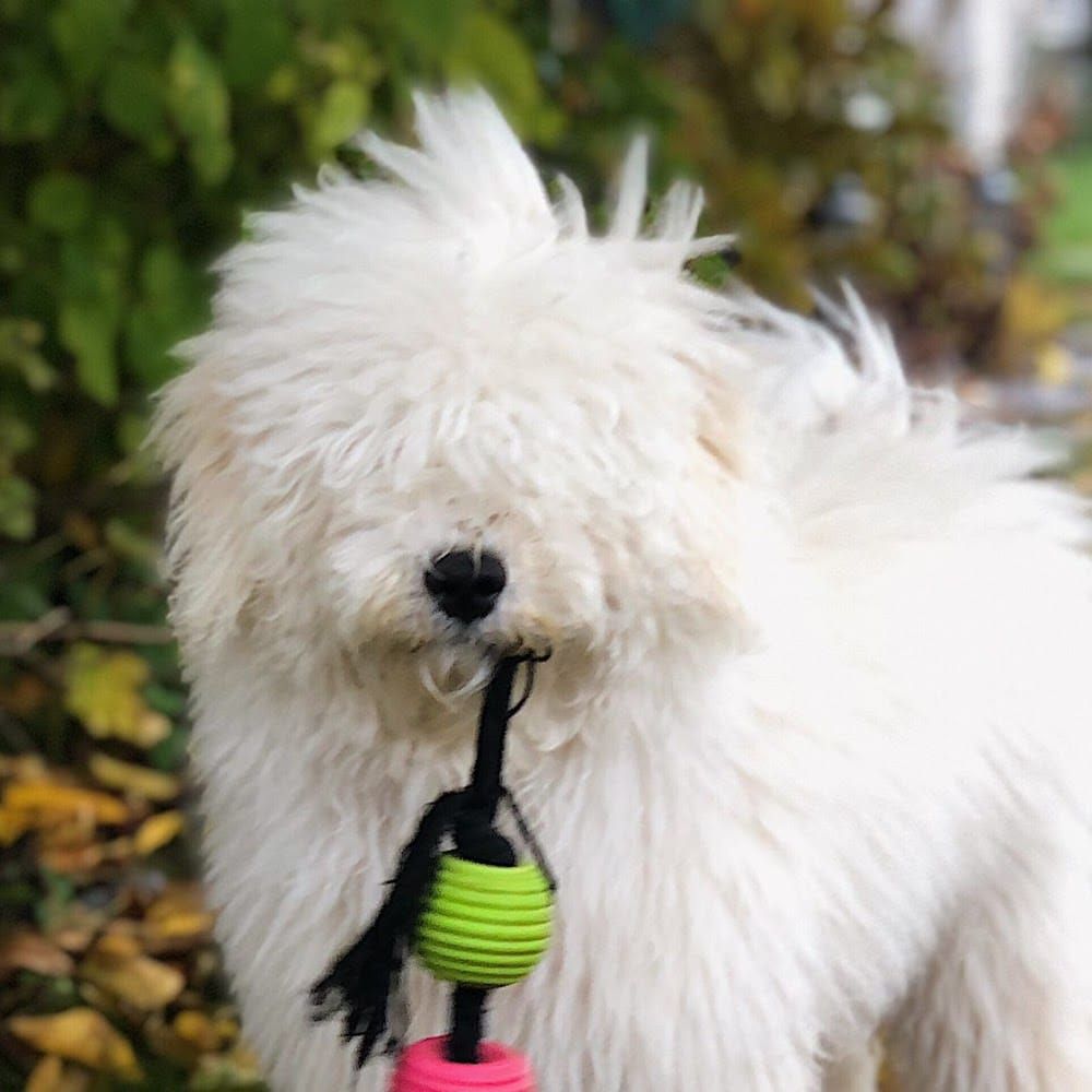 Profilbild för Anna Kindbro