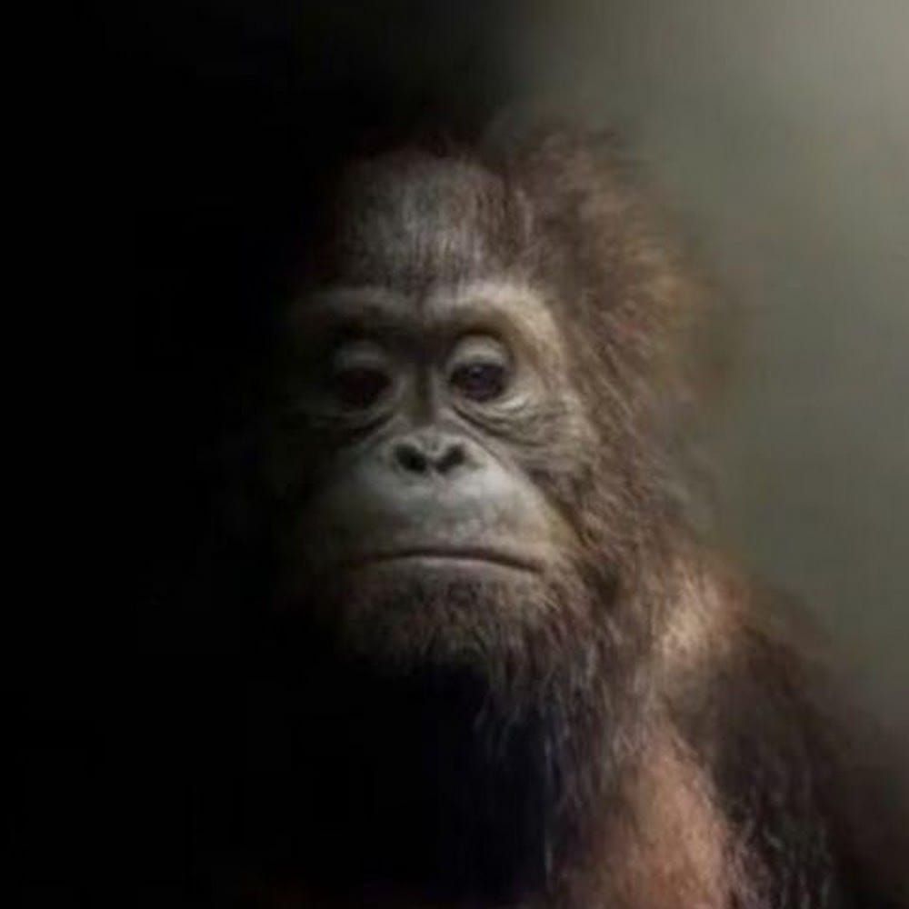 Profilbild för Albin Wallerström