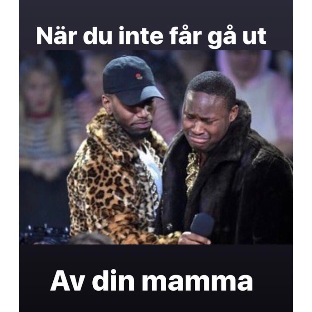 Profilbild för Madeleine Nino Jarquin