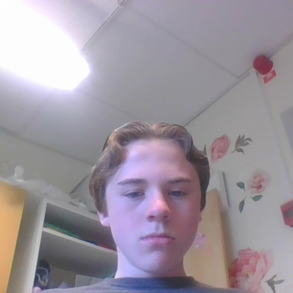 Profilbild för Edvin Tornebjer