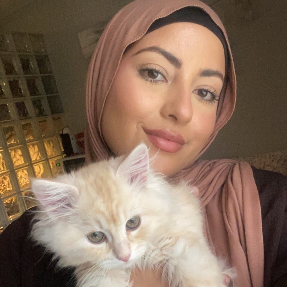 Profilbild för Alaa Alzubaidy